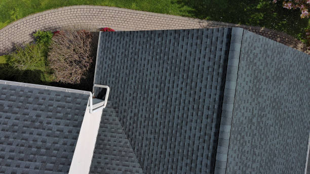 Best Skylight Installation and Repair  in Jasper, TN