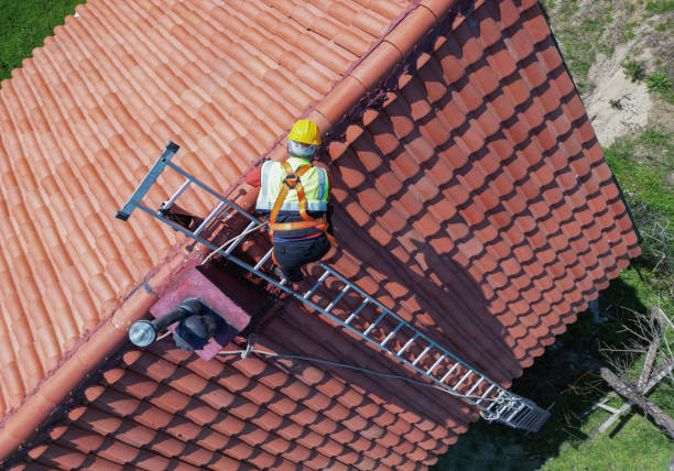 Best Roof Coating and Sealing  in Jasper, TN
