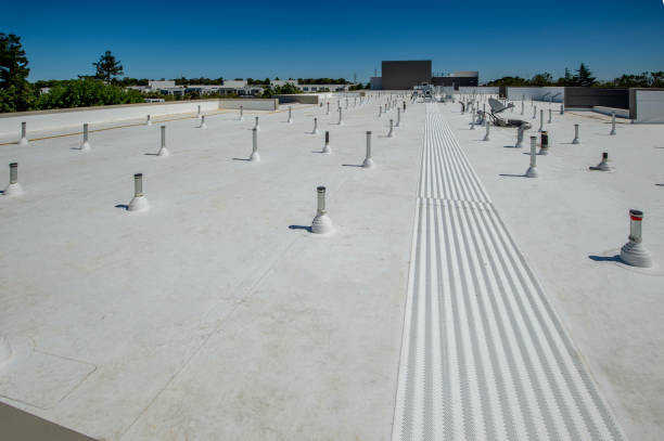 Best Roof Ventilation Installation  in Jasper, TN